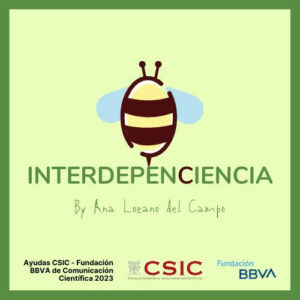 Interdepenciencia