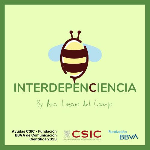 Interdepenciencia